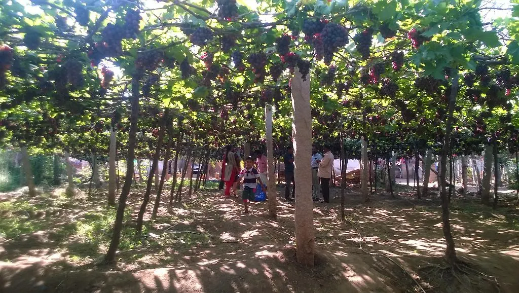 Shawn Dale Homestay Ramakkalmedu