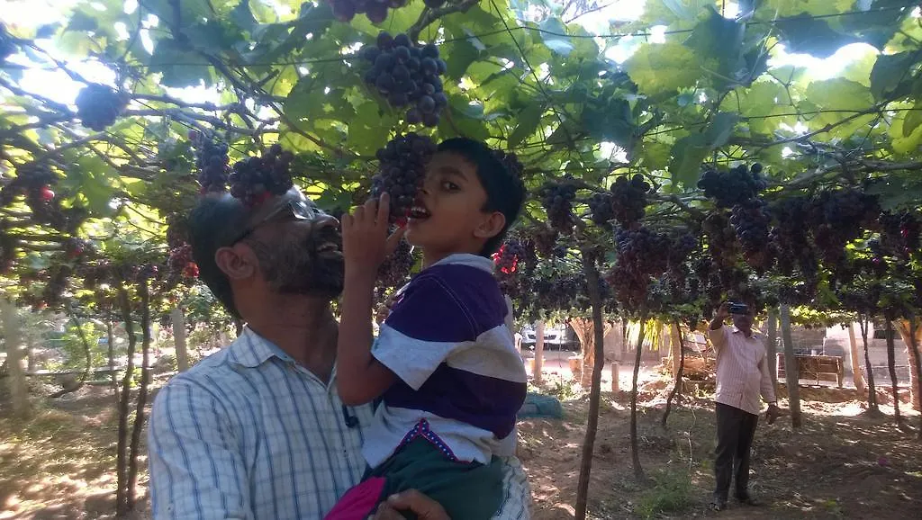 Shawn Dale Homestay Ramakkalmedu 0*,  India