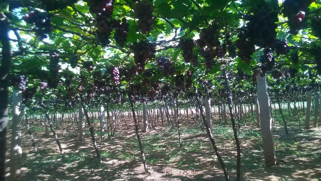 Shawn Dale Homestay Ramakkalmedu Farmház